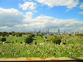 cementery,纽约,绿色