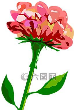 花,盛開,開花