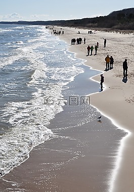 波罗的海,海滩,鸥