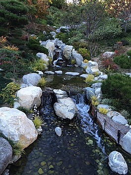 溪,花園,橋