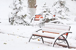 雪,冬天,冷