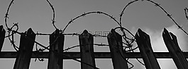 帶刺鐵絲網,圍欄,籬笆