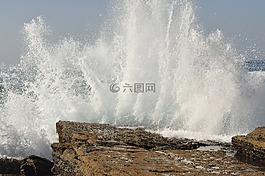 沖浪,海洋,波