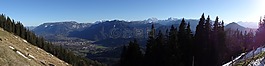 zwiesel,山,高山