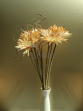 鮮花,花瓶,花的