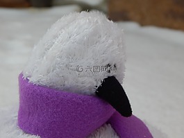 鳥,冬天,鳥嘴
