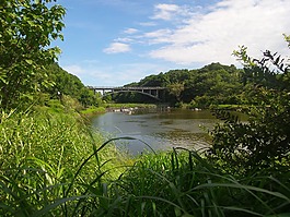 日本,東京,湖