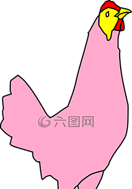 雞,母雞,家禽
