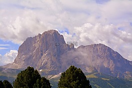 白云巖,山,樹(shù)