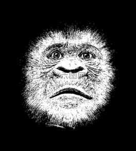 大猩猩,動(dòng)物,哺乳動(dòng)物