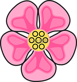 花,玫瑰,野生