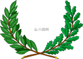 葡萄藤,綠色,分支機(jī)構(gòu)