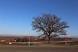 北海道,書,美瑛