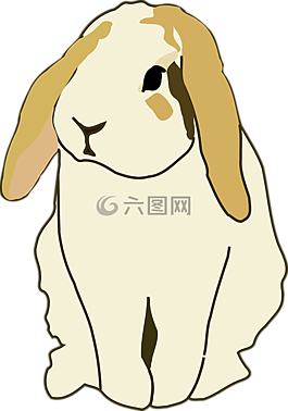 兔,軟盤,兔子