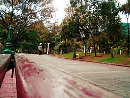街,公園,城市