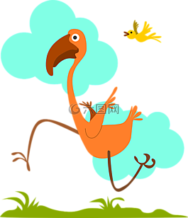 鳥(niǎo),運(yùn)行,鳥(niǎo)嘴
