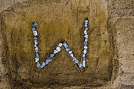 字母字符,字母表,字母