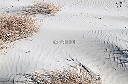 海灘,沙,海景