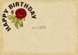 生日,玫瑰,生日快樂