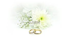 婚禮,環,結婚