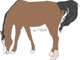 馬,棕色,動物