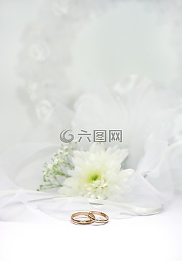 婚禮,環,結婚