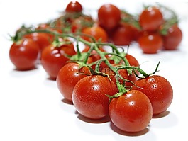 蕃茄,新鮮,蔬菜