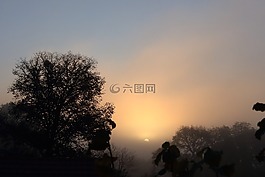 秋天,性質,對著光