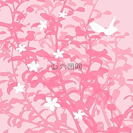 植物,鮮花,鳥