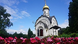 清真寺,花,教堂