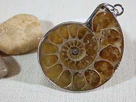 amonite,化石,吊坠