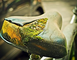 自行車,鞍,輪