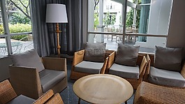 家具,椅子,室内