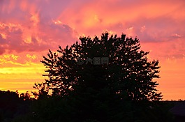 日落,余輝,abendstimmung