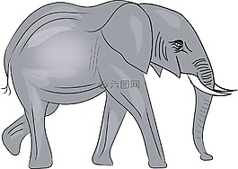 象,動物,野生