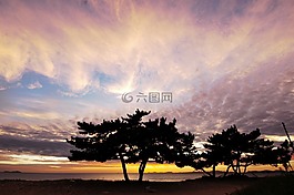 發(fā)光,大韓民國,西海岸
