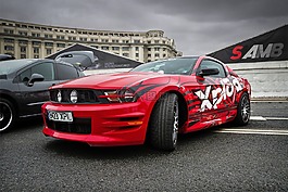 野馬,車,運(yùn)動(dòng)