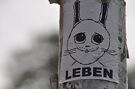 柏林,街頭藝術(shù),藝術(shù)