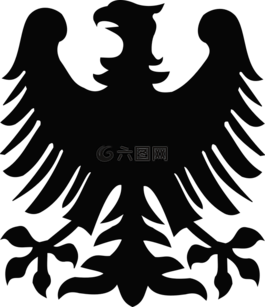 鷹,鳥,生物