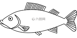 魚,海,動物
