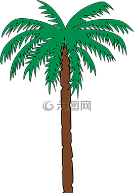 棕櫚,樹,日期