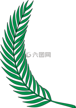 綠色,葉,植物