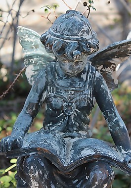 仙女,花園,藝術(shù)
