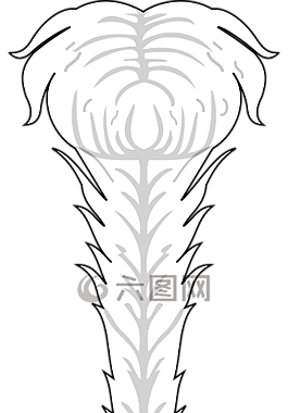 白,軟,羽毛