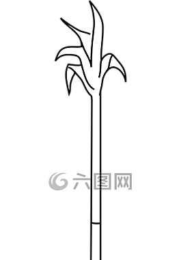 甘蔗,糖,作物