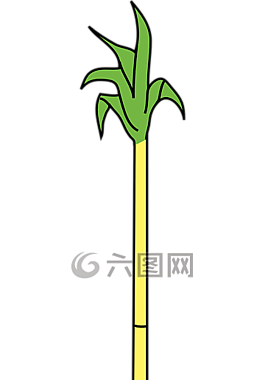 甘蔗,糖,甘蔗糖
