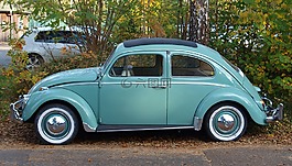 大眾甲殼蟲,大眾,oldtimer