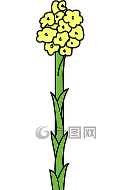 花,植物,綠色
