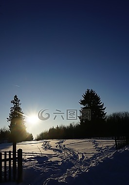 冬天,太陽,雪