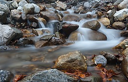 流,河,水